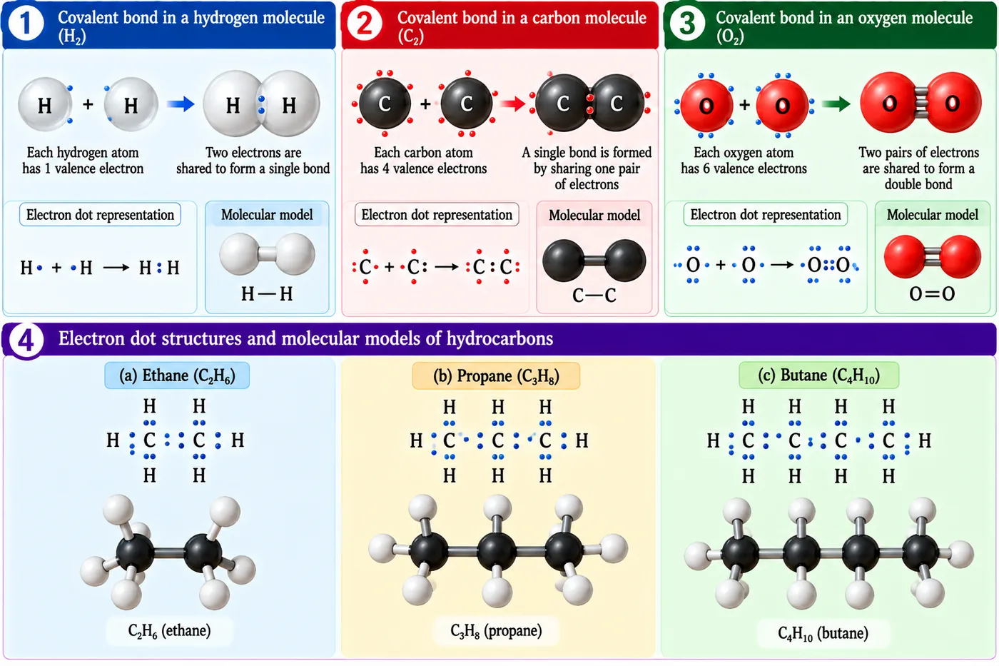 Electron dot structures and molecular models: hydrogen molecule with a single bond, a carbon–carbon single bond, oxygen molecule with a double bond, and ethane, propane and butane with their dot structures and ball-and-stick models