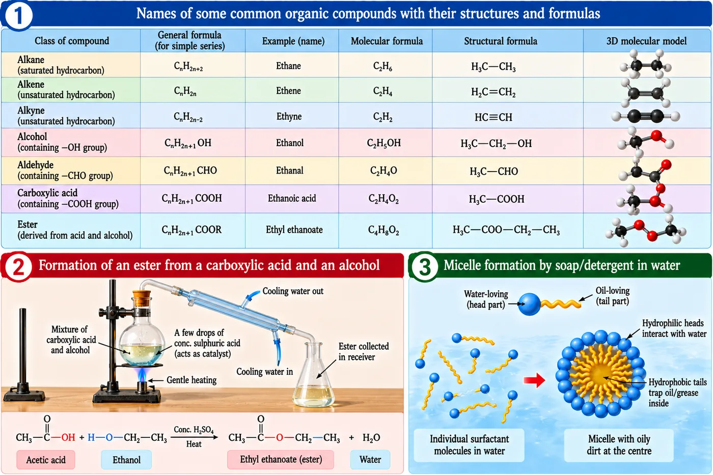 Table of organic compound classes with general, molecular and structural formulae and 3-D models; preparation of an ester from ethanoic acid and ethanol with concentrated sulphuric acid; micelle formation by soap molecules around oily dirt