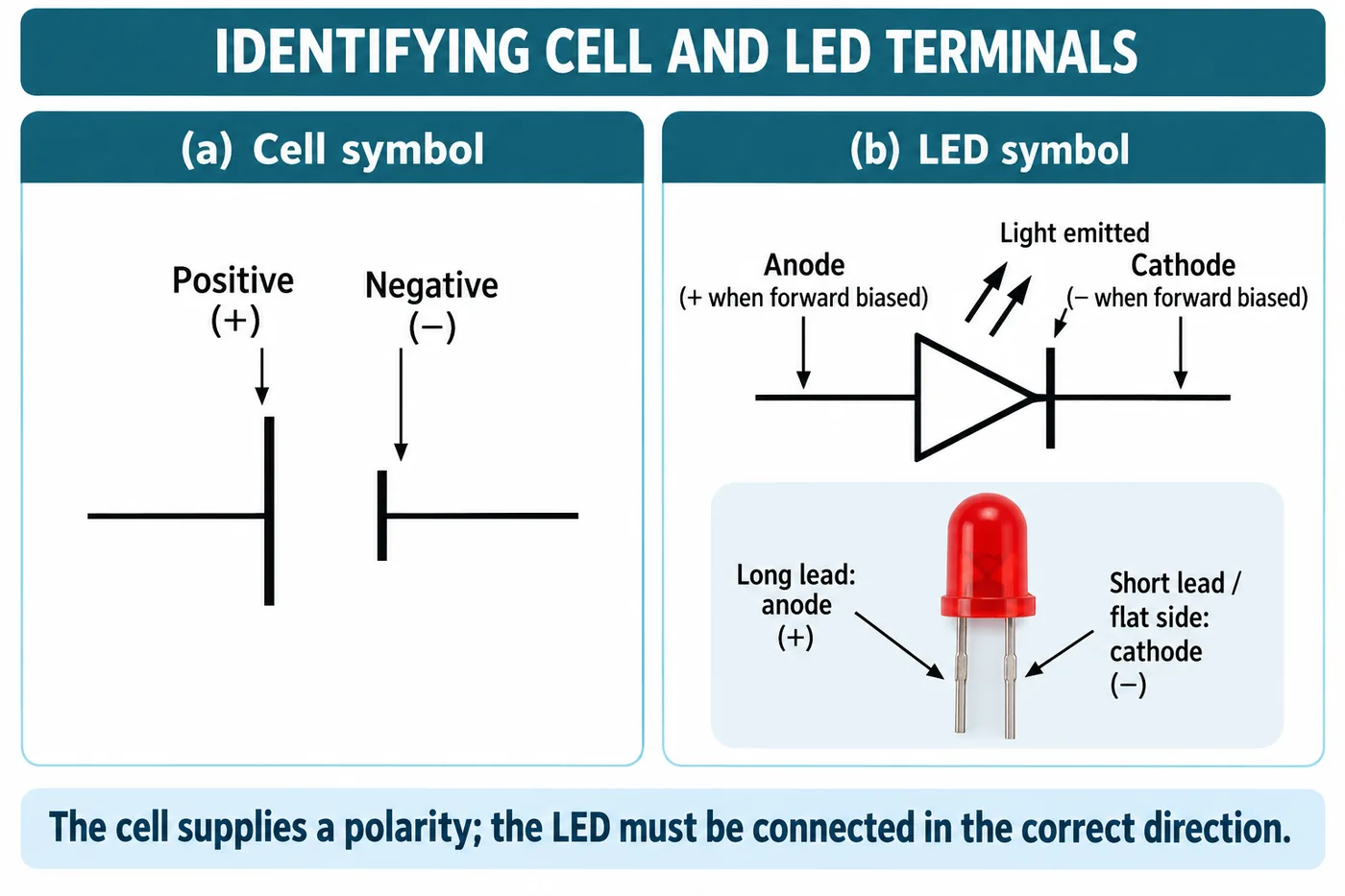 Cell symbol showing longer positive line and shorter negative line, and LED symbol with anode and cathode; an LED with long lead as anode and short lead as cathode