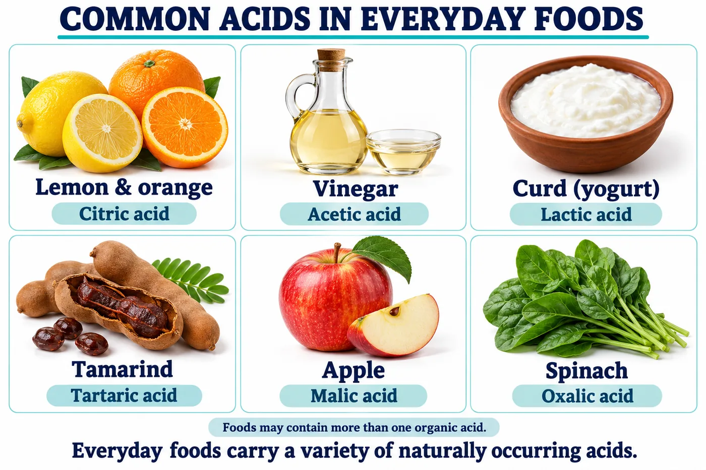 Lemon and orange with citric acid, vinegar with acetic acid, curd with lactic acid, tamarind with tartaric acid, apple with malic acid and spinach with oxalic acid