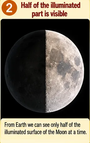 The Moon with one half lit by the Sun and the other half dark