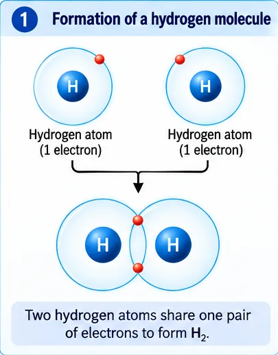 Two hydrogen atoms each with one electron sharing one pair of electrons to form H2