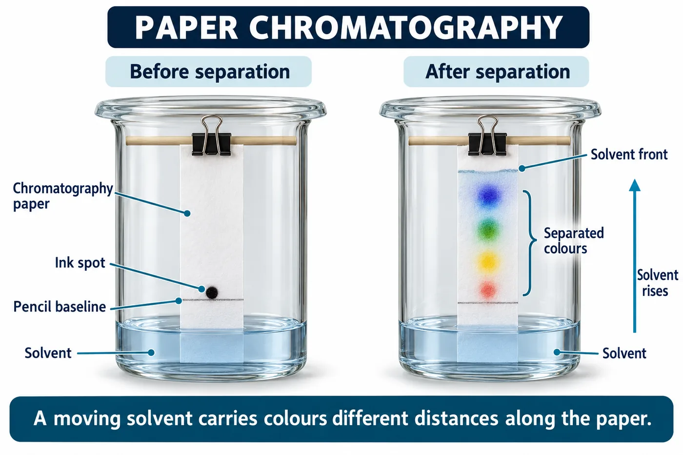 A chromatography paper with an ink spot on a pencil baseline above the solvent, and after separation showing blue, green, yellow and red bands below the solvent front