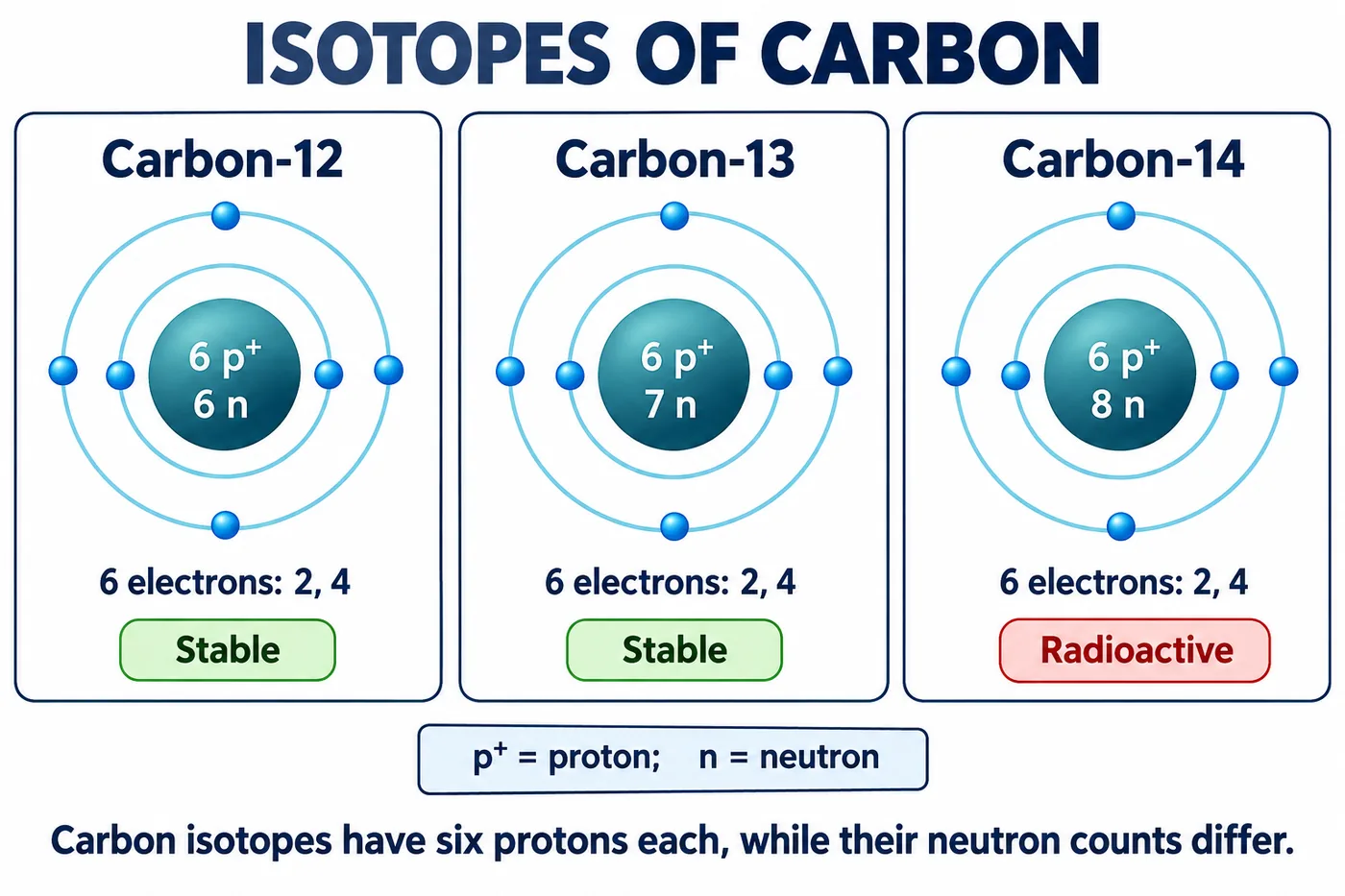 Carbon-12 with 6 protons and 6 neutrons, carbon-13 with 7 neutrons, and radioactive carbon-14 with 8 neutrons, all with 6 electrons arranged 2, 4