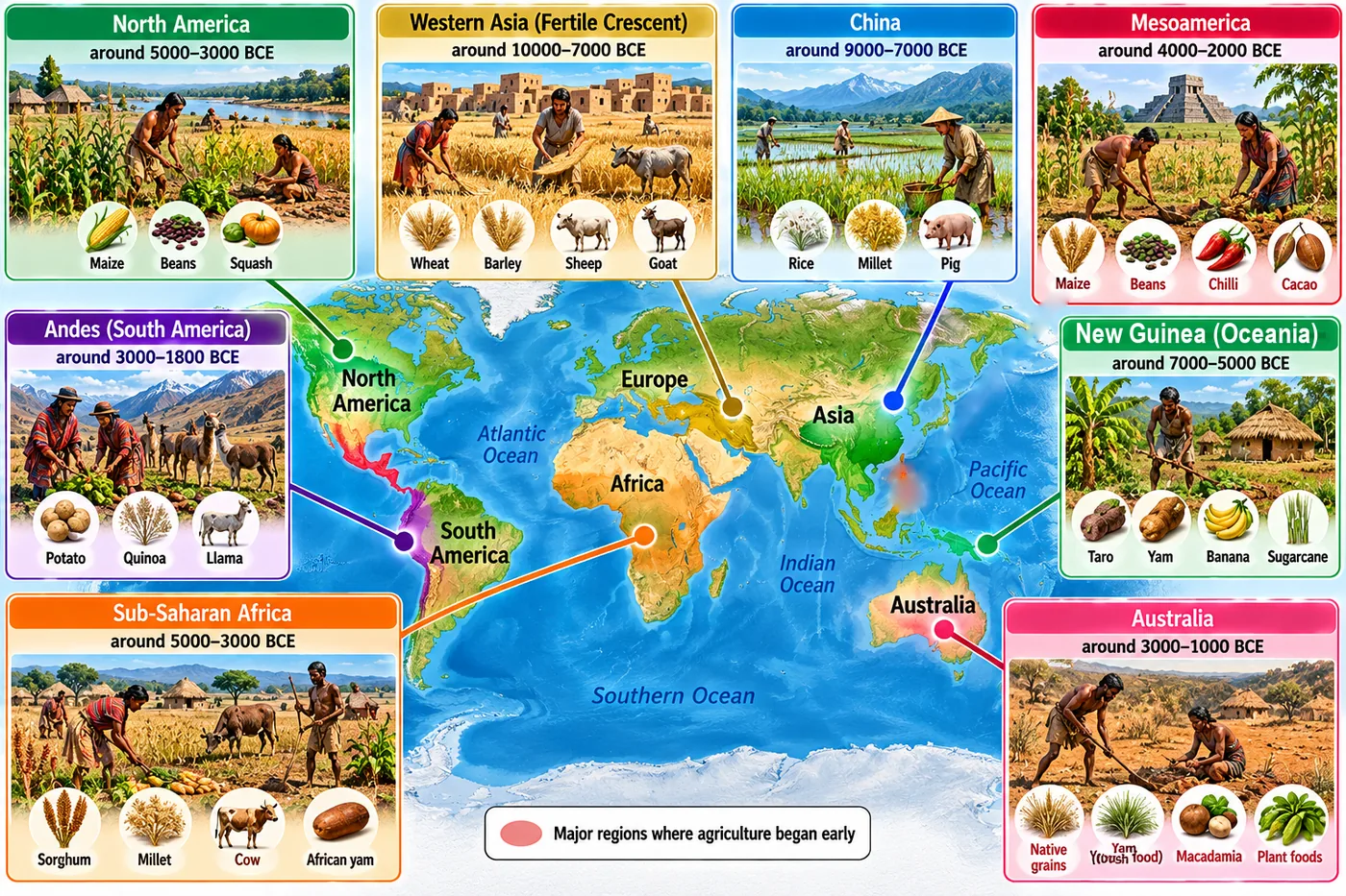 World map with panels on early farming regions — Western Asia wheat, barley, sheep and goats; China rice, millet and pigs; Mesoamerica maize, beans and chilli; Andes potato, quinoa and llama; Sub-Saharan Africa sorghum and millet; New Guinea taro, yam and banana; and North America