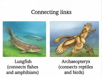 A lungfish swimming in water and an Archaeopteryx