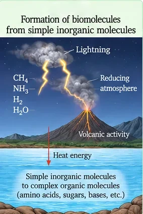 Lightning and a volcano over the sea with methane, ammonia, hydrogen and water in a reducing atmosphere, forming amino acids, sugars and bases in water