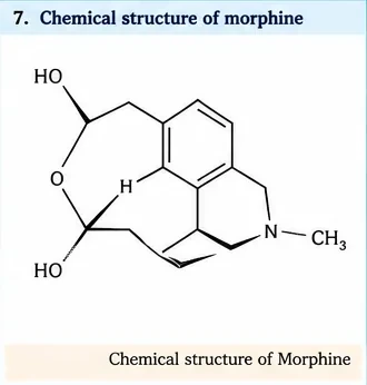 A simplified chemical structure of morphine with hydroxyl groups, an oxygen bridge and an N-methyl group