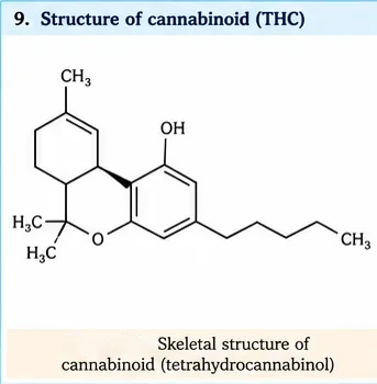 Skeletal structure of tetrahydrocannabinol with a phenol ring, a pyran ring and a pentyl chain