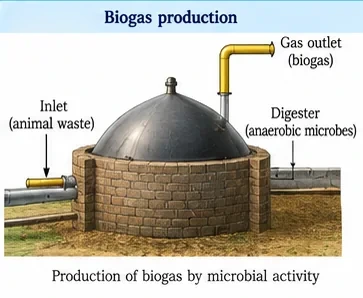 A domed brick biogas plant with an inlet for animal waste, a digester containing anaerobic microbes and a gas outlet pipe
