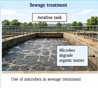 An open aeration tank of a sewage treatment plant where microbes degrade organic matter