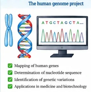 A chromosome, a DNA double helix and a computer screen showing a DNA sequence trace, with goals listed: mapping genes, determining nucleotide sequence, identifying variations and applications in medicine