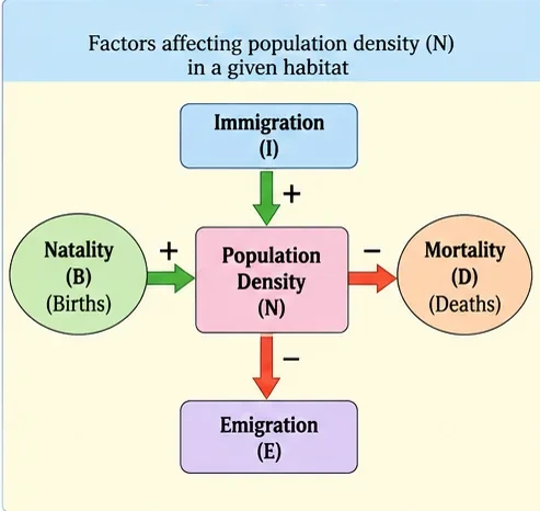 Population density N in the centre, increased by natality and immigration and decreased by mortality and emigration