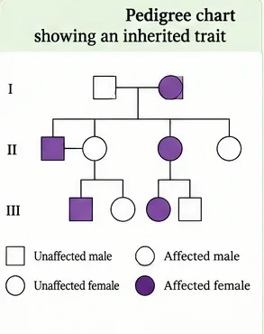 A three-generation pedigree chart with squares for males and circles for females, shaded for affected individuals, and a symbol legend